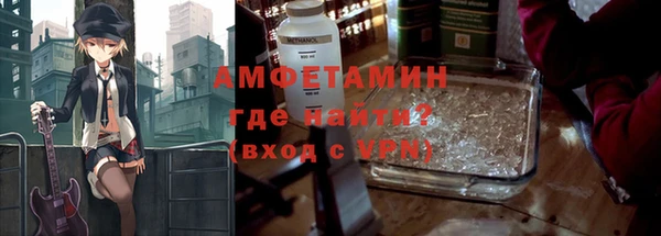шишки Гусь-Хрустальный