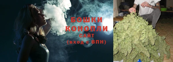шишки Гусь-Хрустальный