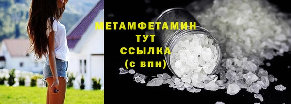 прущие грибы Гусев