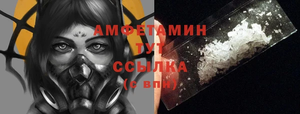 шишки Гусь-Хрустальный