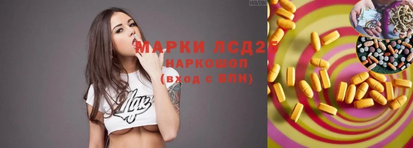 прущие грибы Гусев