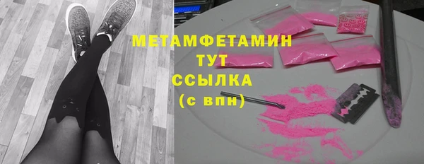 шишки Гусь-Хрустальный