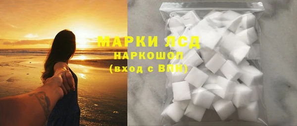 прущие грибы Гусев