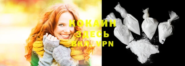 шишки Гусь-Хрустальный