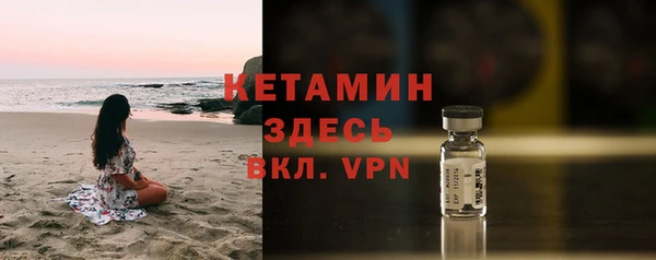 шишки Гусь-Хрустальный