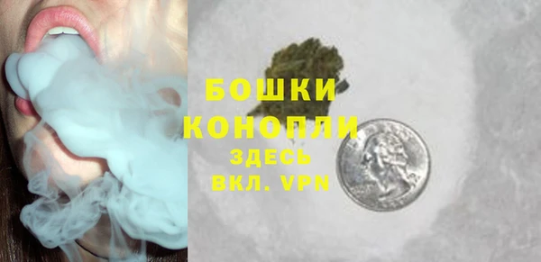 шишки Гусь-Хрустальный