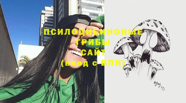 прущие грибы Гусев