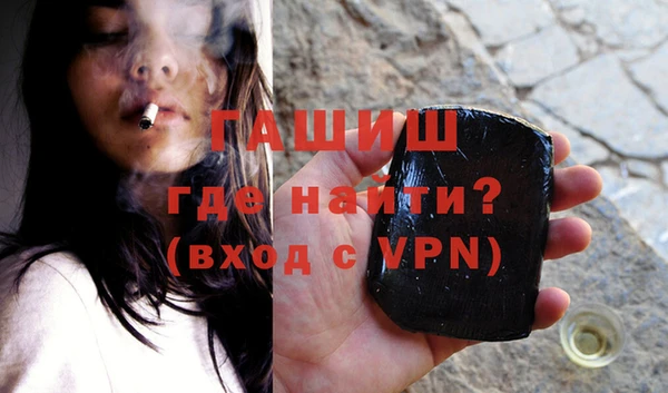 прущие грибы Гусев