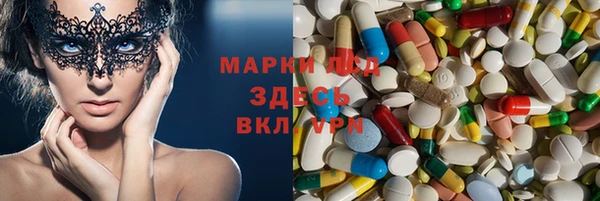 шишки Гусь-Хрустальный
