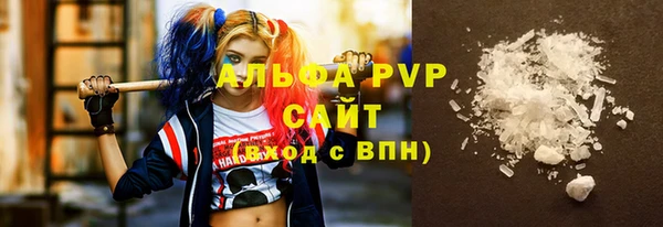 шишки Гусь-Хрустальный